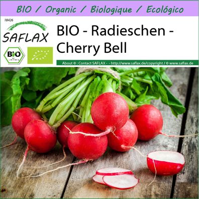 SAFLAX - BIO - Radieschen - Cherry Bell - Raphanus - 100 Samen
