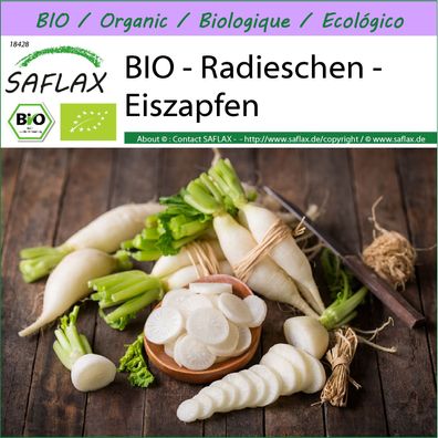 SAFLAX - BIO - Radieschen - Eiszapfen - Raphanus - 100 Samen