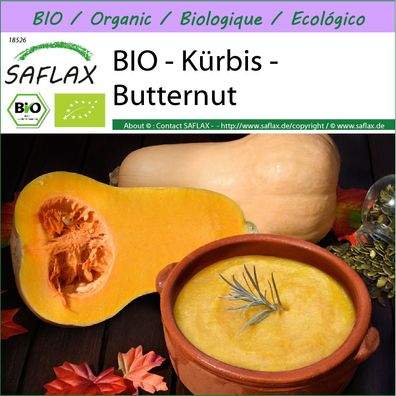 SAFLAX - BIO - Kürbis - Butternut - Cucurbita - 6 Samen
