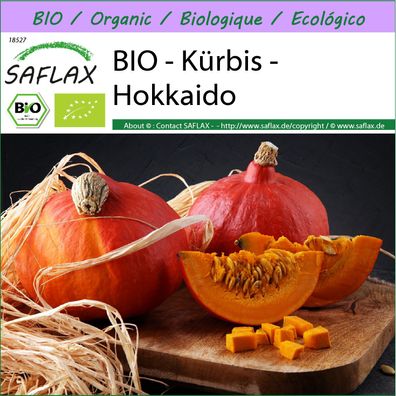 SAFLAX - BIO - Kürbis - Hokkaido - Cucurbita - 5 Samen