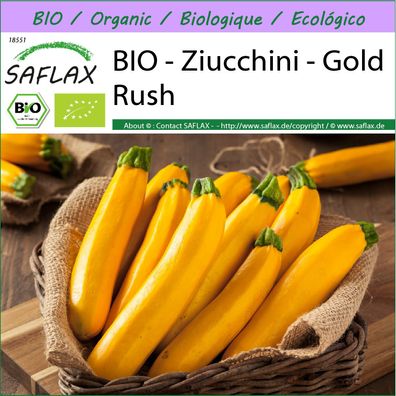 SAFLAX - BIO - Ziucchini - Gold Rush - Cucurbita - 5 Samen