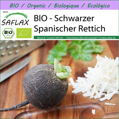 SAFLAX - BIO - Schwarzer Spanischer Rettich - Raphanus - 100 Samen