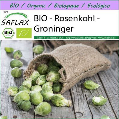 SAFLAX - BIO - Rosenkohl - Groninger - Brassica - 30 Samen