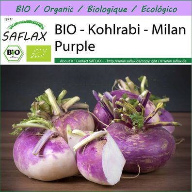 SAFLAX - BIO - Kohlrabi - Milan Purple - Brassica - 600 Samen