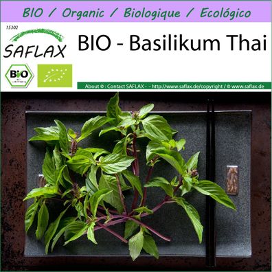 SAFLAX - BIO - Basilikum Thai - Ocimum - 250 Samen