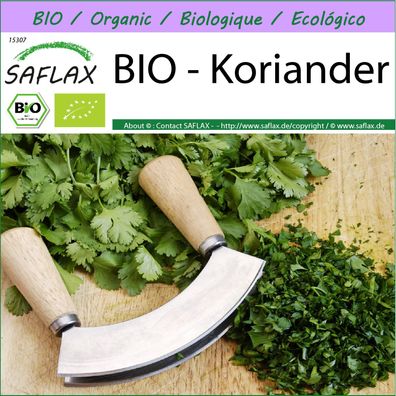 SAFLAX - BIO - Koriander - Coriandrum - 150 Samen