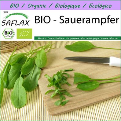 SAFLAX - BIO - Sauerampfer - Rumex - 400 Samen