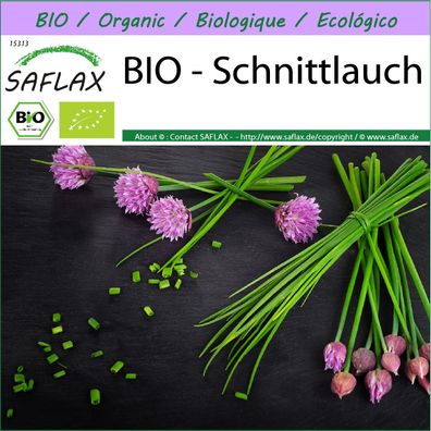 SAFLAX - BIO - Schnittlauch - Allium - 250 Samen