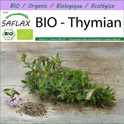 SAFLAX - BIO - Thymian - Thymus - 800 Samen