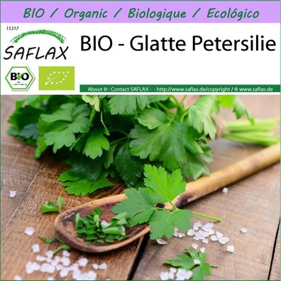 SAFLAX - BIO - Glatte Petersilie - Petroselinum - 600 Samen