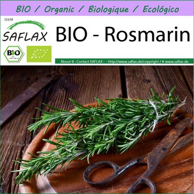 SAFLAX - BIO - Rosmarin - Rosmarinus - 40 Samen
