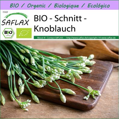 SAFLAX - BIO - Schnitt - Knoblauch - Allium - 100 Samen