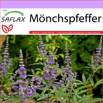 SAFLAX - Mönchspfeffer - Vitex - 30 Samen