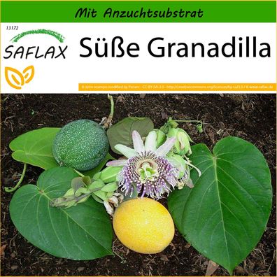 SAFLAX - Süße Granadilla - Passiflora - 20 Samen
