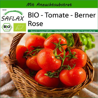 SAFLAX - BIO - Tomate - Berner Rose - Solanum - 10 Samen
