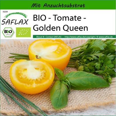 SAFLAX - BIO - Tomate - Golden Queen - Solanum - 15 Samen