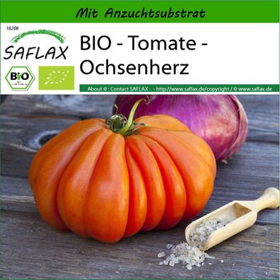 SAFLAX - BIO - Tomate - Ochsenherz - Solanum - 10 Samen