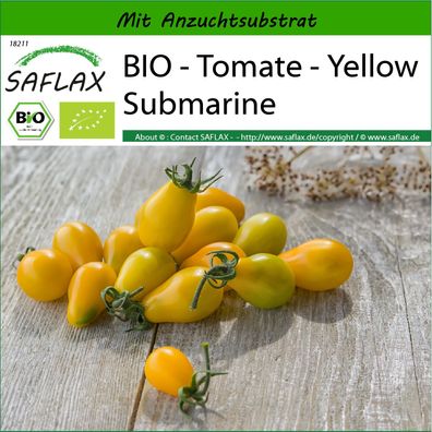 SAFLAX - BIO - Tomate - Yellow Submarine - Solanum - 10 Samen