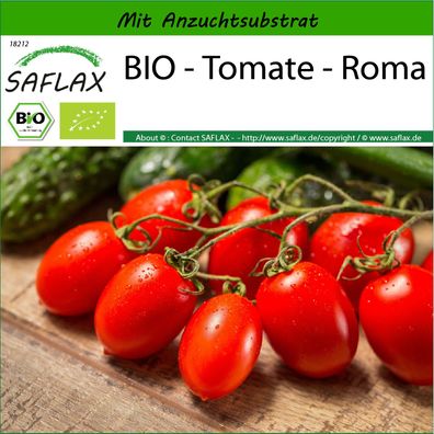 SAFLAX - BIO - Tomate - Roma - Solanum - 15 Samen
