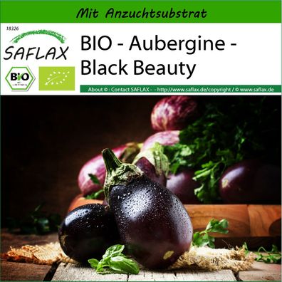 SAFLAX - BIO - Aubergine - Black Beauty - Solanum - 25 Samen