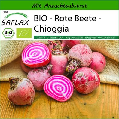 SAFLAX - BIO - Rote Beete - Chioggia - Beta - 70 Samen