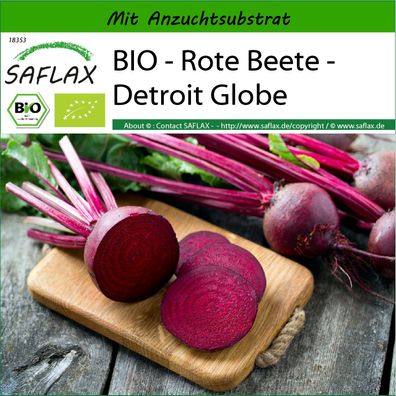 SAFLAX - BIO - Rote Beete - Detroit Globe - Beta - 100 Samen