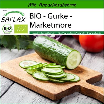 SAFLAX - BIO - Gurke - Marketmore - Cucumis - 20 Samen