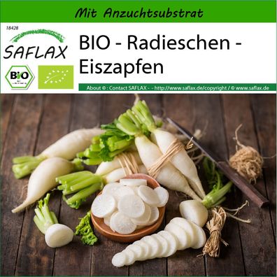 SAFLAX - BIO - Radieschen - Eiszapfen - Raphanus - 100 Samen