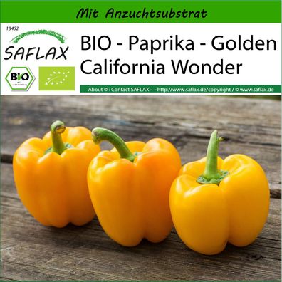 SAFLAX - BIO - Paprika - Golden California Wonder - Capsicum - 20 Samen