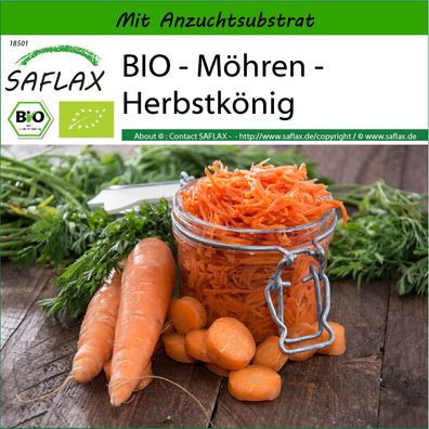 SAFLAX - BIO - Möhren - Herbstkönig - Daucus - 1000 Samen