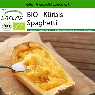 SAFLAX - BIO - Kürbis - Spaghetti - Cucurbita - 5 Samen
