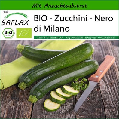 SAFLAX - BIO - Zucchini - Nero di Milano - Cucurbita - 6 Samen
