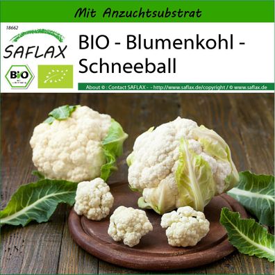 SAFLAX - BIO - Blumenkohl - Schneeball - Brassica - 70 Samen