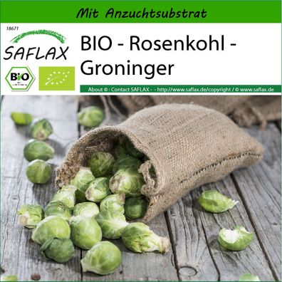 SAFLAX - BIO - Rosenkohl - Groninger - Brassica - 30 Samen