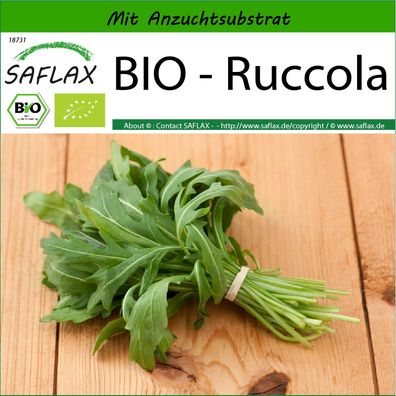 SAFLAX - BIO - Ruccola - Eruca - 3000 Samen