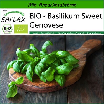 SAFLAX - BIO - Basilikum Sweet Genovese - Ocimum - 800 Samen