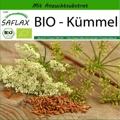 SAFLAX - BIO - Kümmel - Carum - 800 Samen