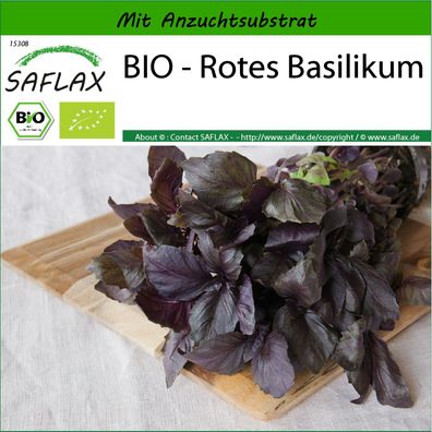 SAFLAX - BIO - Rotes Basilikum - Ocimum - 400 Samen
