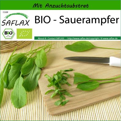 SAFLAX - BIO - Sauerampfer - Rumex - 400 Samen