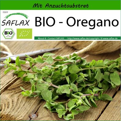 SAFLAX - BIO - Oregano - Origanum - 1500 Samen