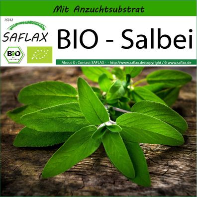 SAFLAX - BIO - Salbei - Salvia - 60 Samen