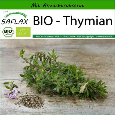 SAFLAX - BIO - Thymian - Thymus - 800 Samen