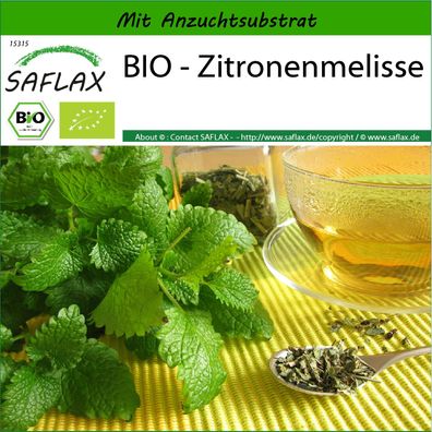 SAFLAX - BIO - Zitronenmelisse - Melissa - 1000 Samen