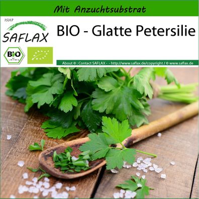 SAFLAX - BIO - Glatte Petersilie - Petroselinum - 600 Samen