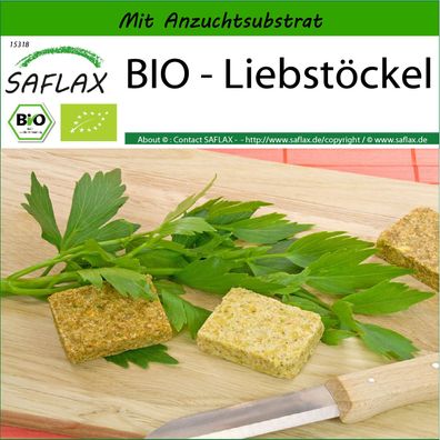 SAFLAX - BIO - Liebstöckel - Levisticum - 100 Samen