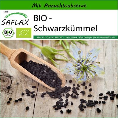 SAFLAX - BIO - Schwarzkümmel - Nigella - 300 Samen