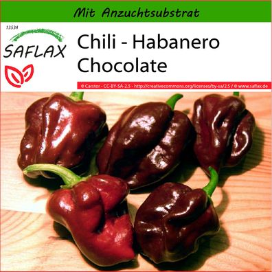 SAFLAX - Chili - Habanero Chocolate - Capsicum - 10 Samen
