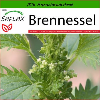 SAFLAX - Brennessel - Urtica - 150 Samen