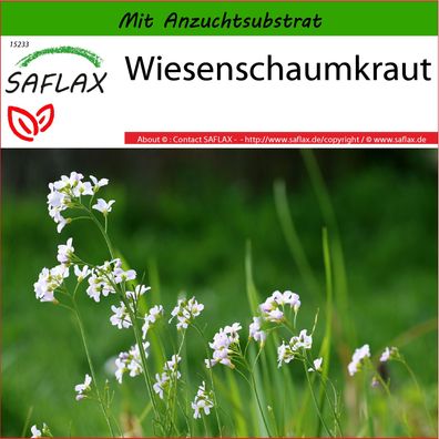 SAFLAX - Wiesenschaumkraut - Cardamine - 100 Samen