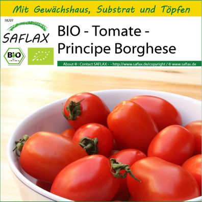 SAFLAX Anzucht Set - BIO - Tomate - Principe Borghese - Solanum - 10 Samen